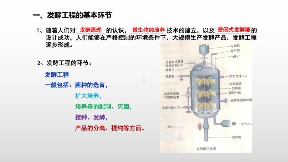 1.3发酵工程及应用ppt课件-（新教材）2019新人教版高中生物选择性必修三.pptx_第3页