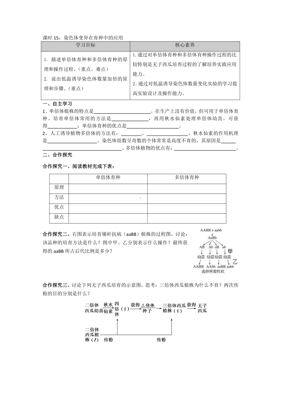 3.1染色体变异在育种中的应用 学案-（新教材）2019新苏教版高中生物必修二.doc_第1页