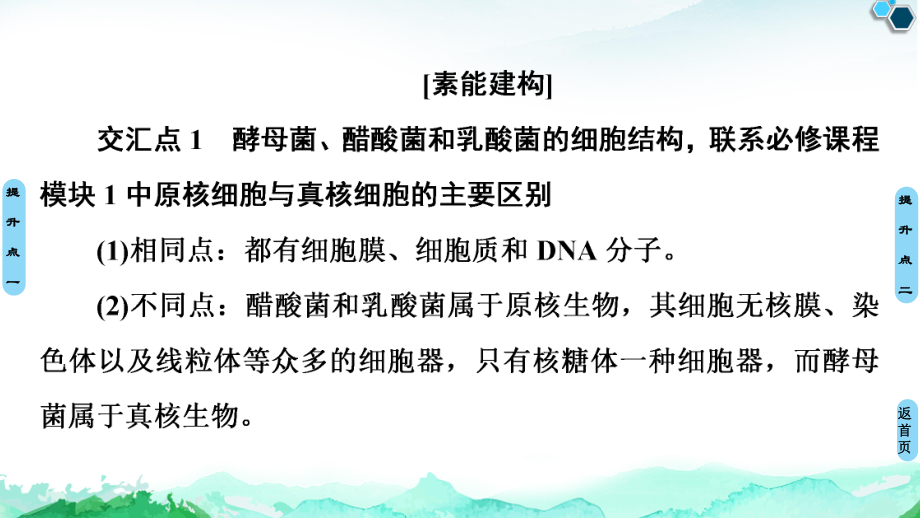 第1章 素能提升课 发酵工程与其他相关知识的综合 ppt课件-（新教材）2019新人教版高中生物选择性必修三.ppt_第3页