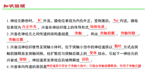 2.4神经系统的分级调节ppt课件-（新教材）2019新人教版高中生物选择性必修一.pptx