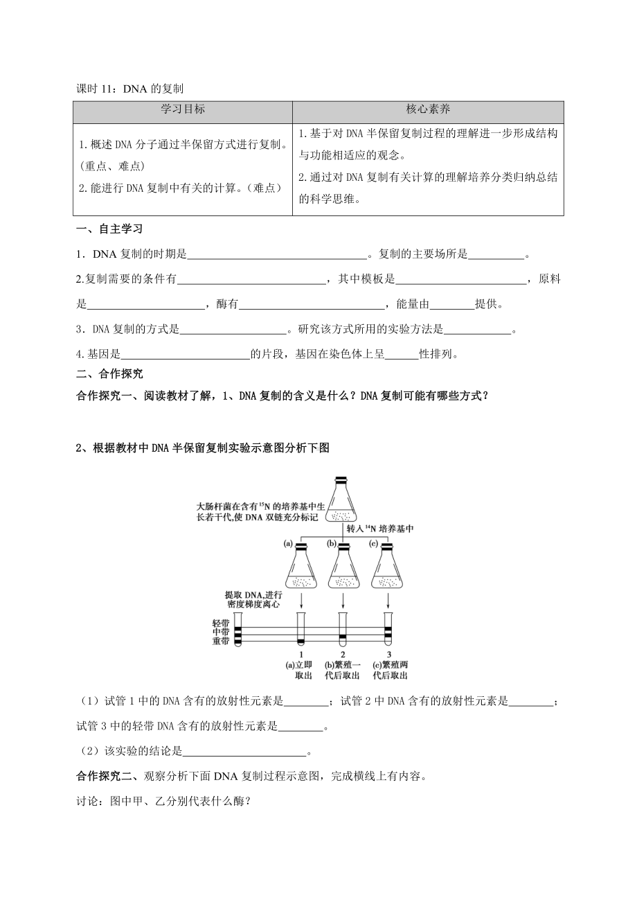 2.2DNA的复制 学案-（新教材）2019新苏教版高中生物必修二.doc_第1页