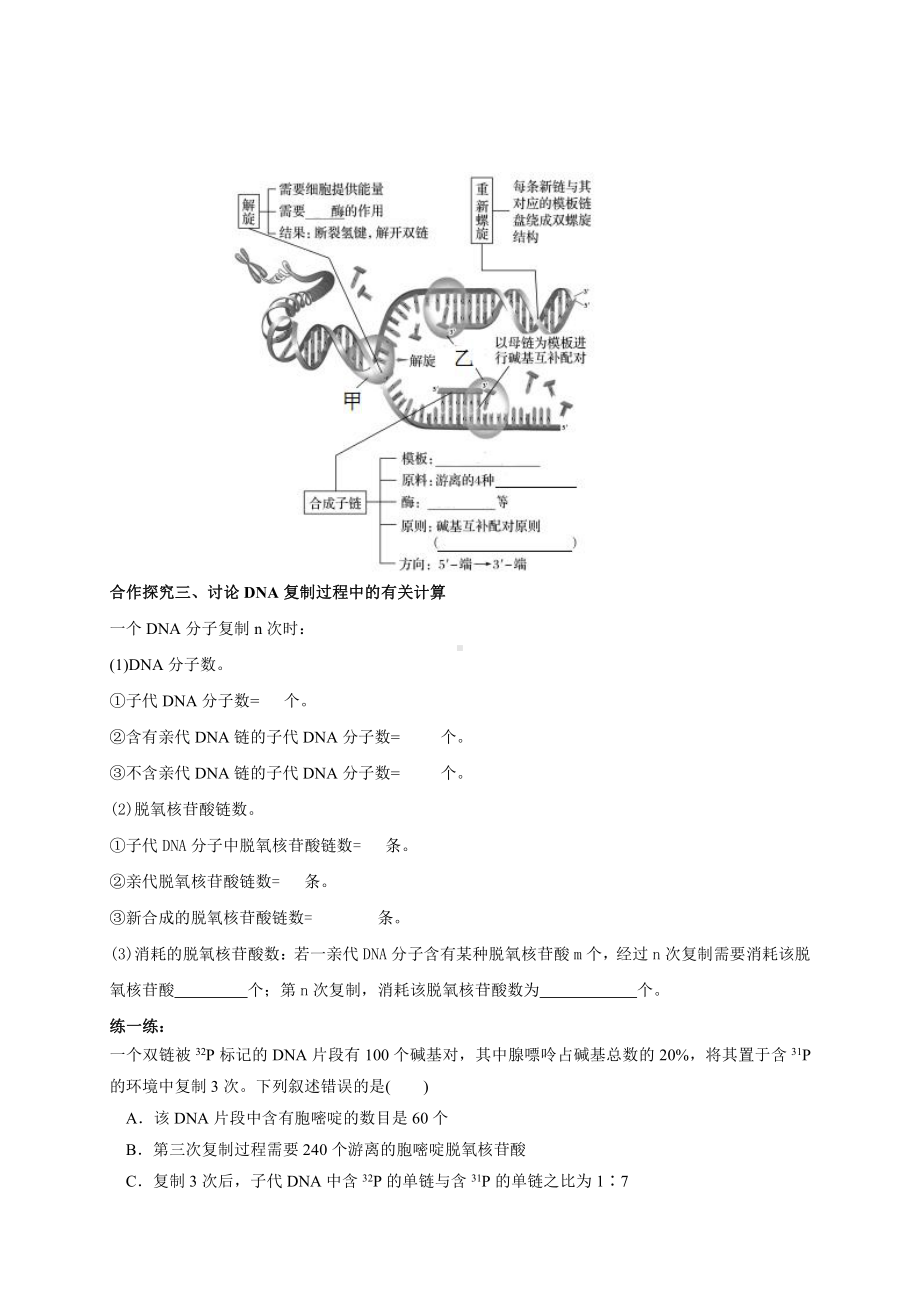 2.2DNA的复制 学案-（新教材）2019新苏教版高中生物必修二.doc_第2页