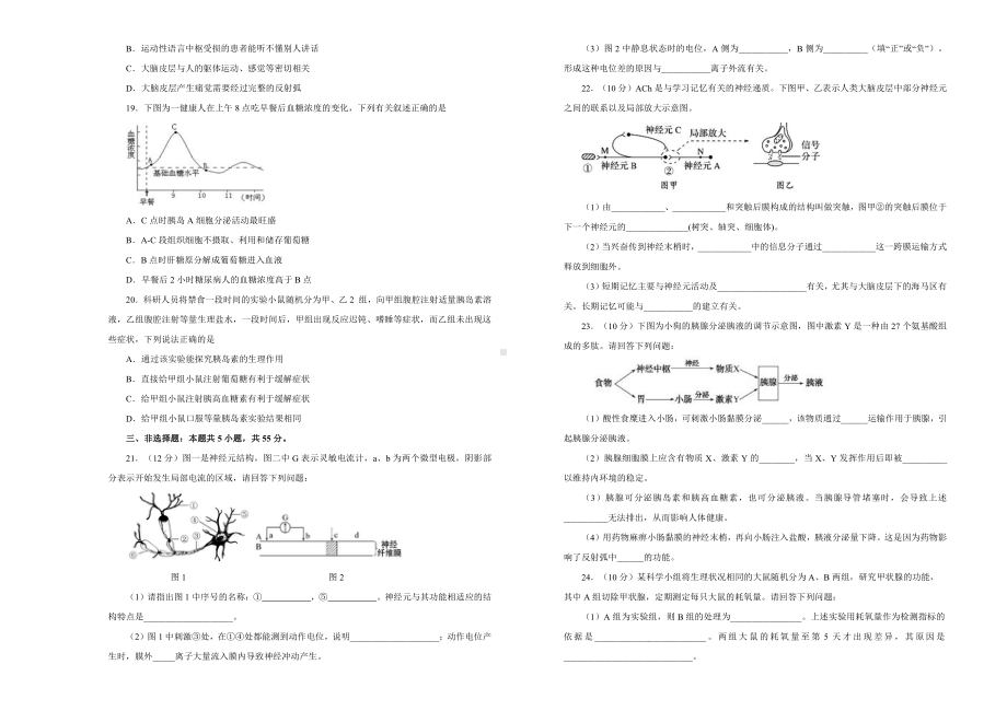 （新教材）2019新人教版高中生物选择性必修一第二、三章神经调节、体液调节达标检测卷 A卷.doc_第3页