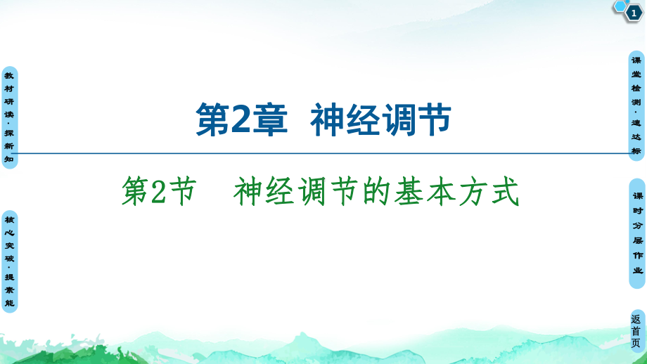 第2章 第2节　神经调节的基本方式 ppt课件-（新教材）2019新人教版高中生物选择性必修一(共46张PPT).ppt_第1页