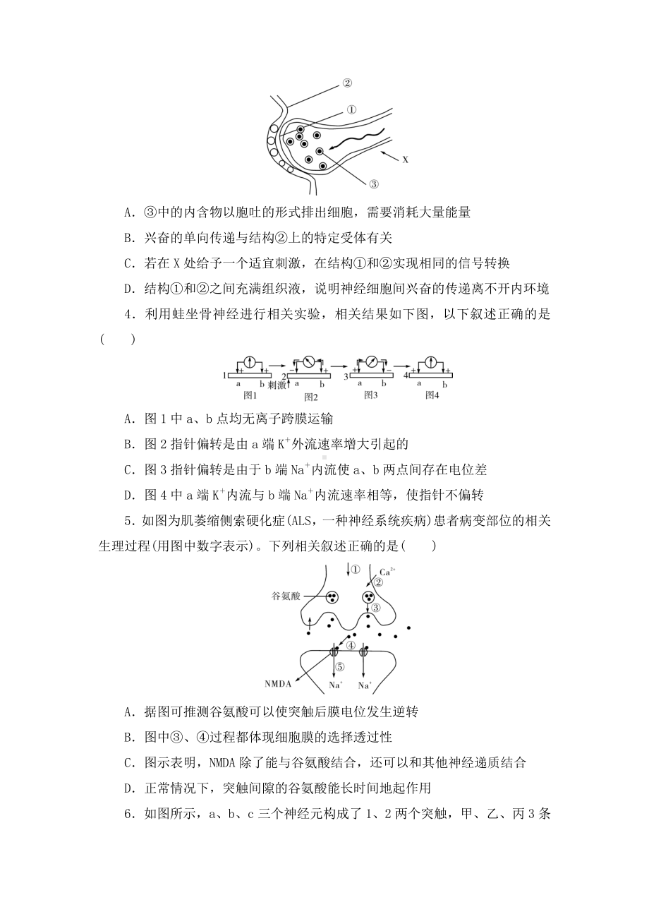 第2章神经调节进阶特训-（新教材）2019新人教版高中生物选择性必修一.doc_第2页