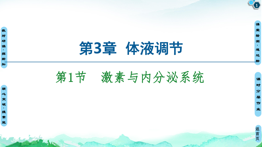 第3章第1节　激素与内分泌系统 ppt课件-（新教材）2019新人教版高中生物选择性必修一(共39张PPT).ppt_第1页