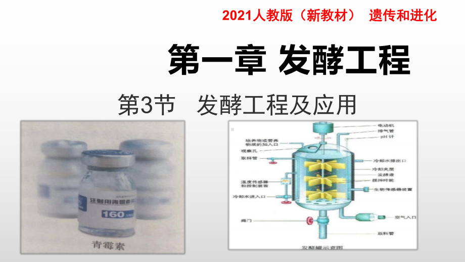 1.3 发酵工程及其应用 ppt课件-（新教材）2019新人教版高中生物选择性必修三.pptx_第1页