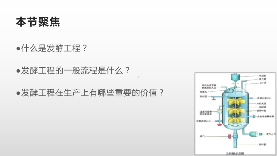 1.3 发酵工程及其应用 ppt课件-（新教材）2019新人教版高中生物选择性必修三.pptx_第2页