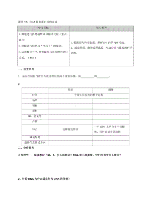 2.3DNA控制蛋白质的合成 学案-（新教材）2019新苏教版高中生物必修二.doc