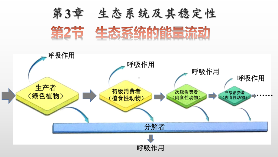 3.2 生态系统的能量流动 ppt课件-（新教材）2019新人教版高中生物选择性必修二.pptx_第1页