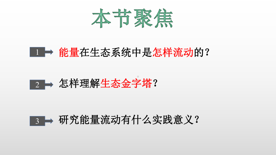 3.2 生态系统的能量流动 ppt课件-（新教材）2019新人教版高中生物选择性必修二.pptx_第2页