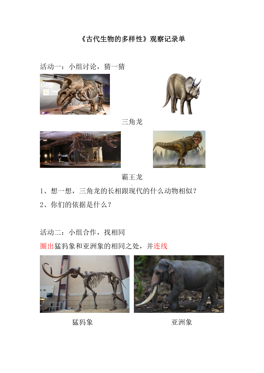 2.6 古代生物的多样性 活动记录单-2022新教科版六年级下册《科学》.docx_第1页