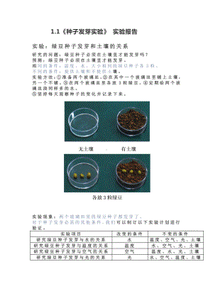 第一单元《生物与环境》（实验报告）-2022新教科版五年级下册《科学》.doc