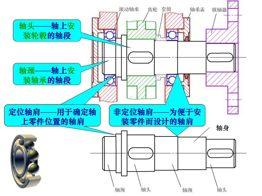 轴的结构名称.ppt_第1页