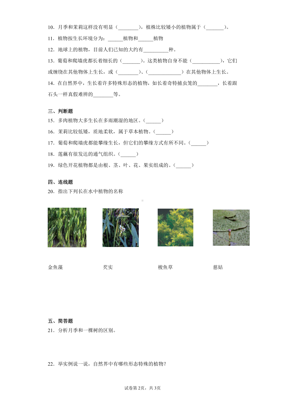 2022新粤教版四年级下册科学第一单元植物大观园检测卷（含答案）.docx_第2页