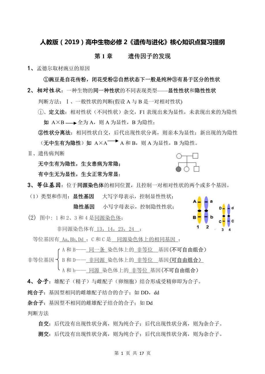 人教版（2019）高中生物必修2《遗传与进化》核心知识点复习提纲（实用！）.doc_第1页