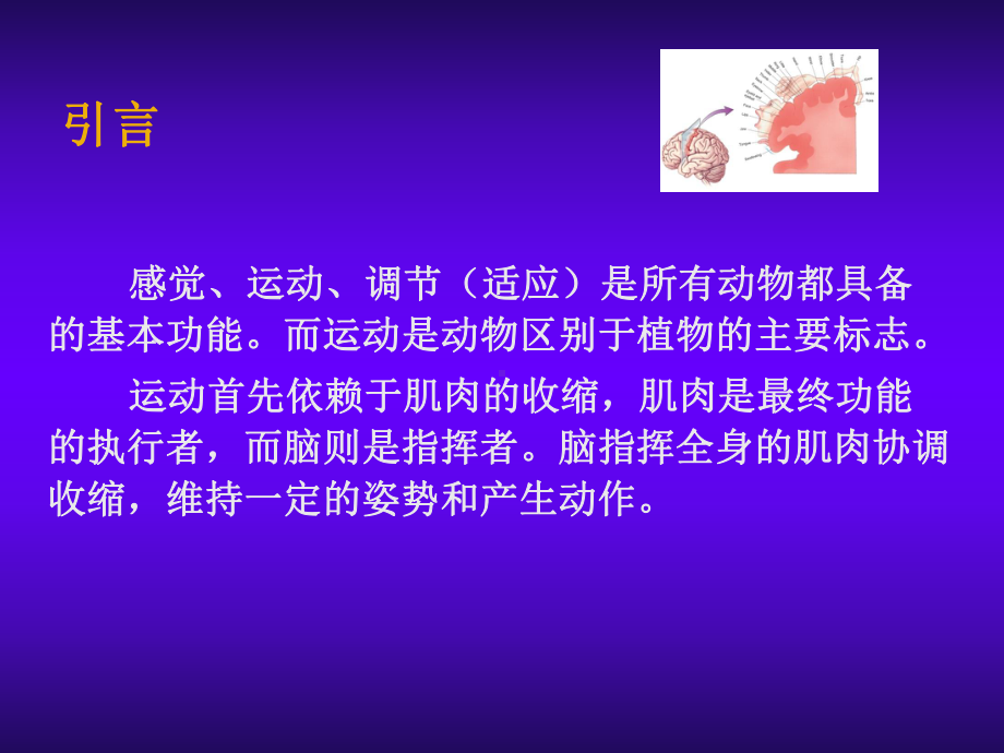 脑的奥秘课件：05 运动.ppt_第2页