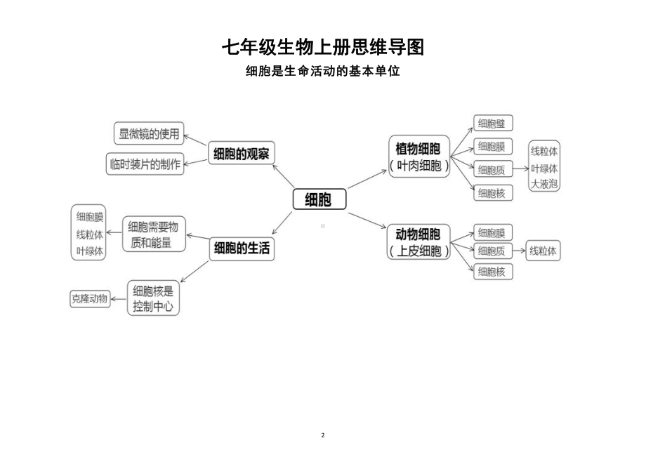 初中生物七年级上册思维导图（分单元编排）.docx_第2页