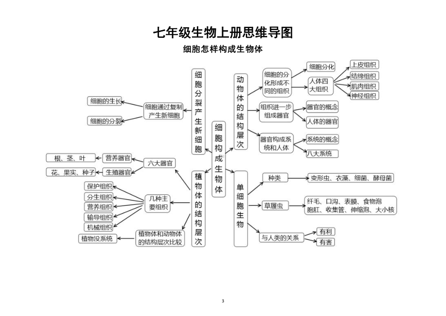 初中生物七年级上册思维导图（分单元编排）.docx_第3页