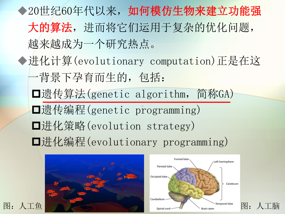 Xie-AI-第5章-计算智能(3)-遗传算法.ppt_第2页