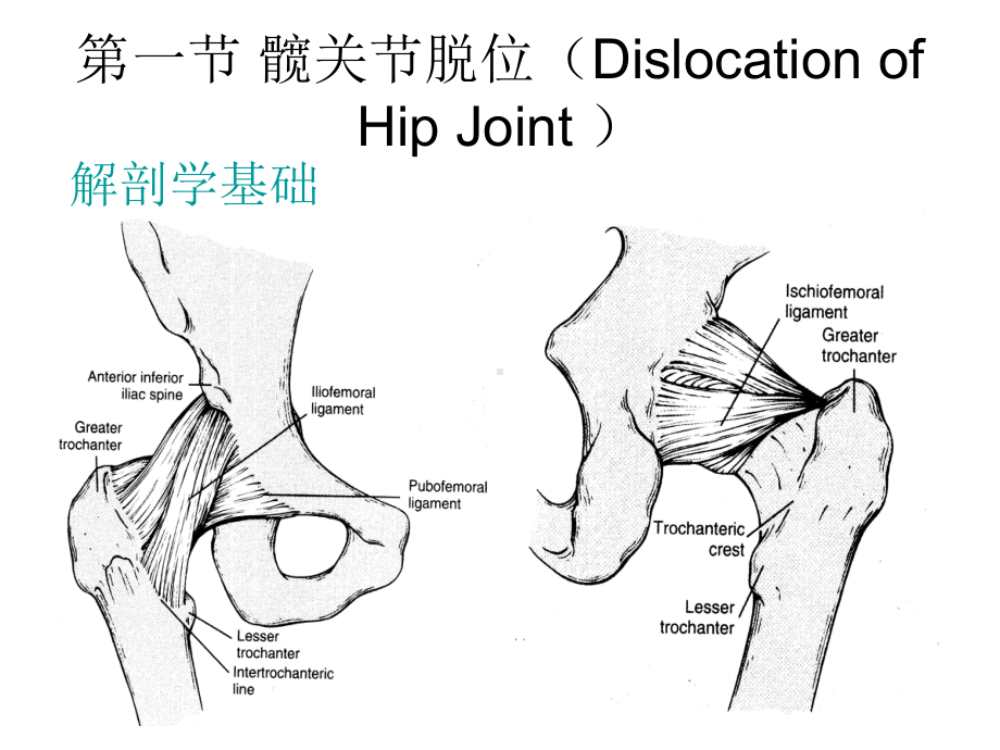 外科学课件：下肢骨关节损伤-2015-12.ppt_第2页