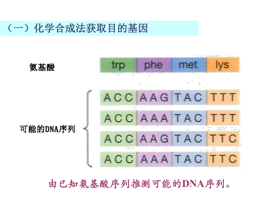 生物化学与分子生物学课件：2016-21-重组DNA技术（殷）.ppt_第3页