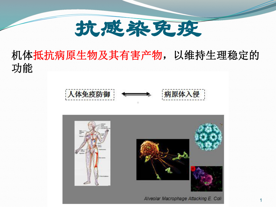 医学免疫学课件：感染免疫201704.ppt_第1页