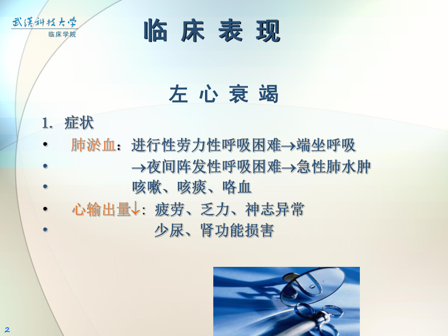 内科学课件：2015心力衰竭.ppt_第2页