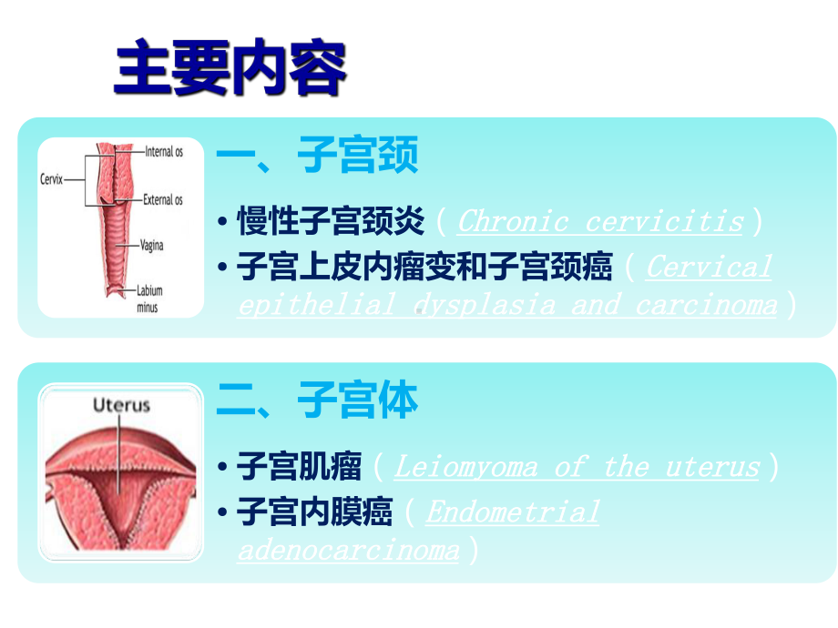 病理学课件：2017子宫颈、子宫体疾病.ppt_第3页