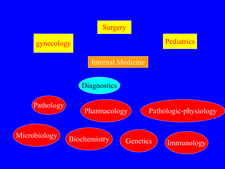 内科学课件：－内科学绪论.ppt_第2页