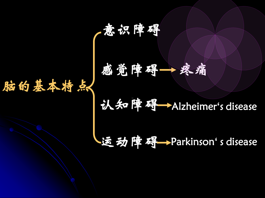 病生课件：神经系统病理生理（第二版 2016）.ppt_第3页