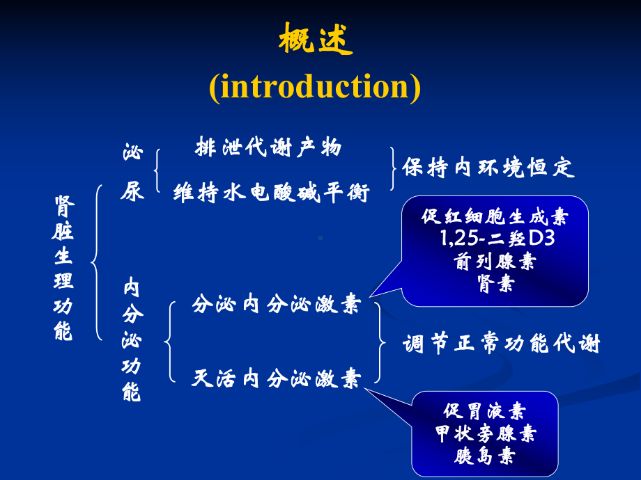 病生课件：泌尿系统1.ppt_第2页