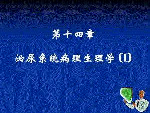 病生课件：泌尿系统1.ppt