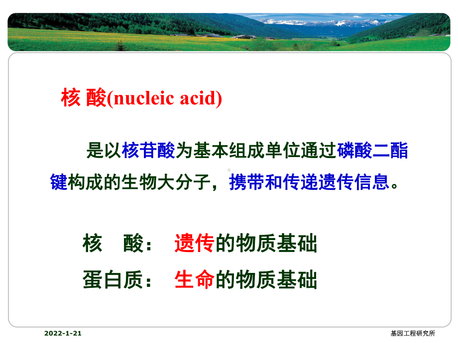 生物化学与分子生物学课件：核酸的结构与功能.ppt_第3页