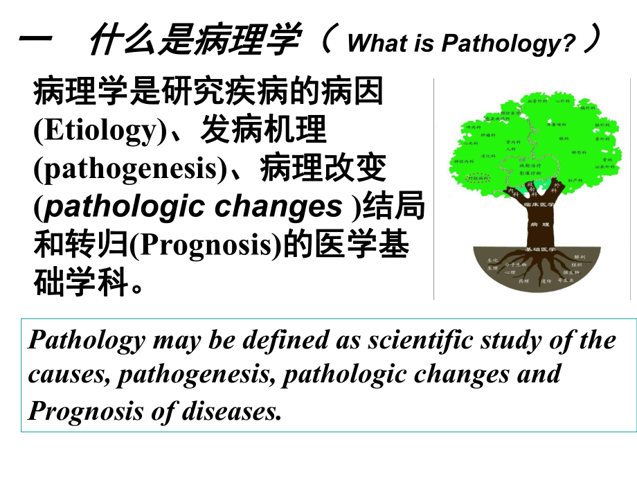 病理学课件：病理学绪论适应与损伤2017.ppt_第3页