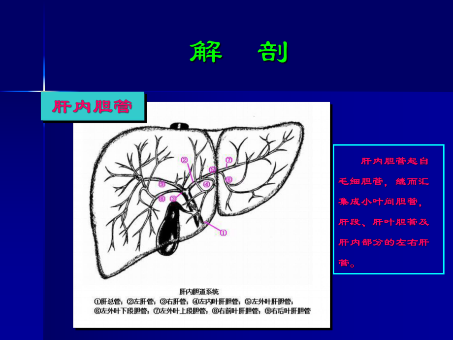 外科学课件：胆道疾病第八版课件.ppt_第2页