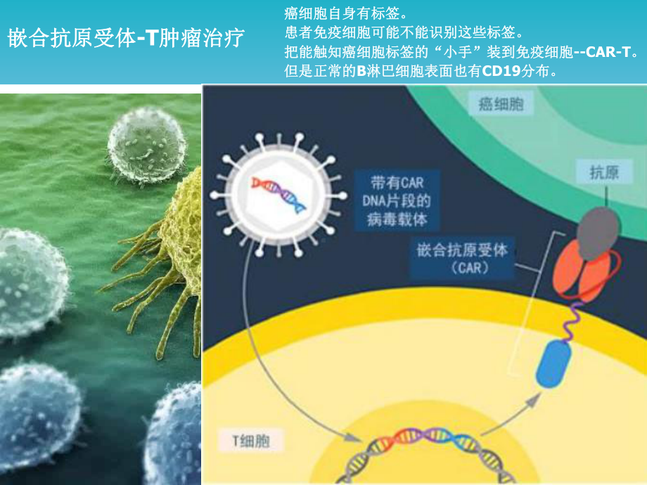 生物化学与分子生物学课件：2016-20-常用分子生物学技术（殷）.ppt_第3页