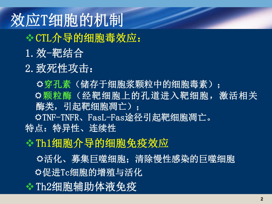 医学免疫学课件：16学年春应答2.ppt_第2页