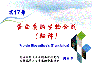 生物化学与分子生物学课件：第17章 蛋白质的生物合成.ppt