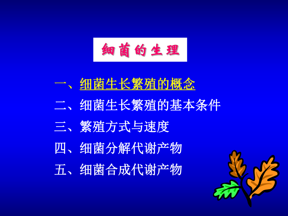 医学微生物学课件：3.细菌的生理.ppt_第3页