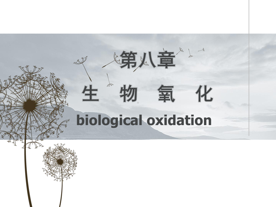 生物化学与分子生物学课件：生物氧化1-2016秋.pptx_第1页