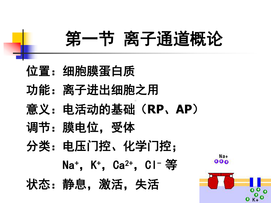 药理学课件：离子通道概论及钙通道阻滞药.ppt_第3页