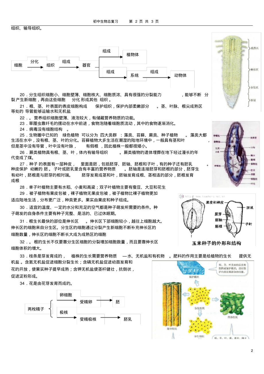 新人教版初中生物七年级上册总复习提纲(带彩图).pdf_第2页