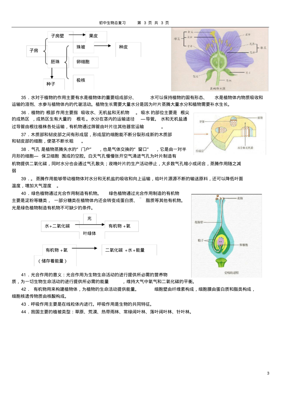 新人教版初中生物七年级上册总复习提纲(带彩图).pdf_第3页