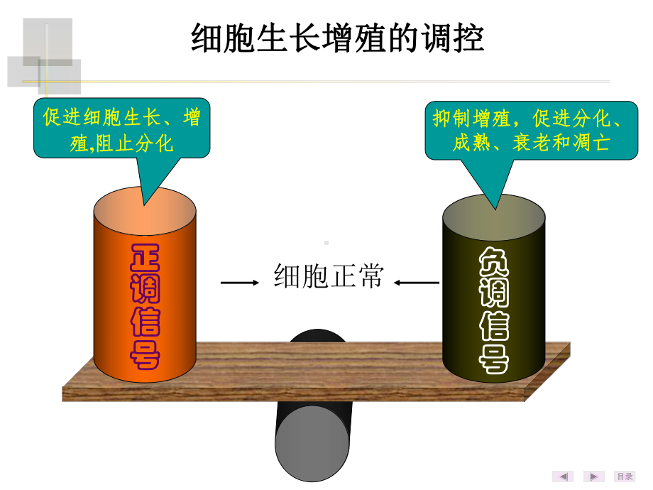 生物化学与分子生物学课件：2016-23-癌基因与抑癌基因(殷）.ppt_第2页