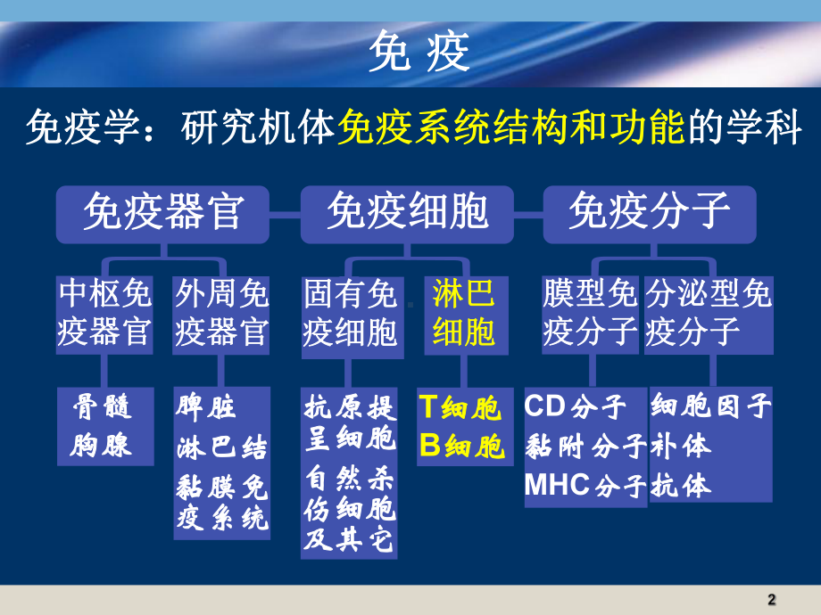 医学免疫学课件：16学年春系统2.ppt_第2页