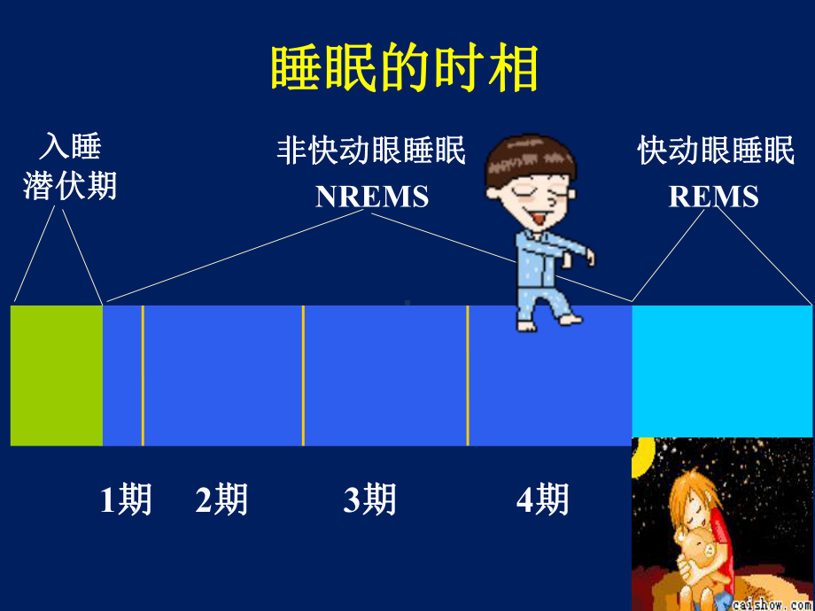 药理学课件：15、16章.ppt_第2页