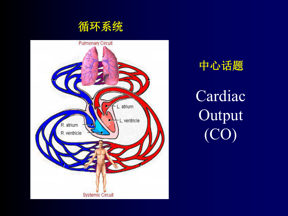 病生课件：循环系统的病理生理学(4学时).ppt_第2页