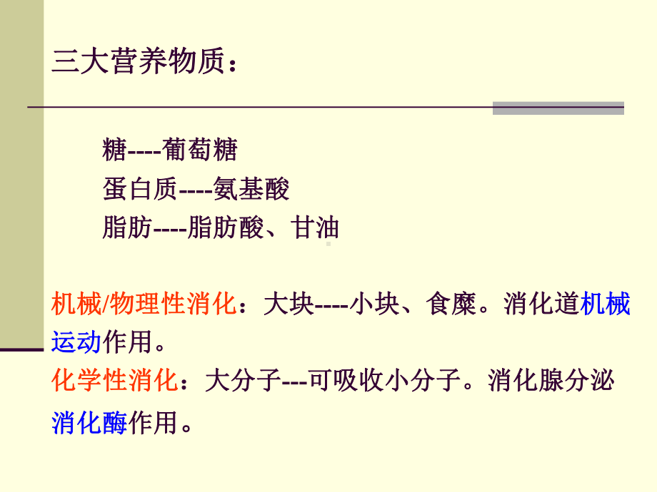 生理学课件：消化和吸收 2016.ppt_第3页