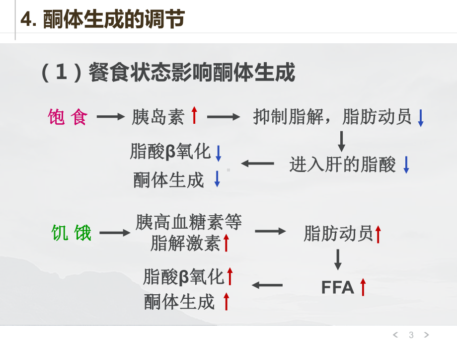 生物化学与分子生物学课件：脂类代谢2-2016秋.pptx_第3页